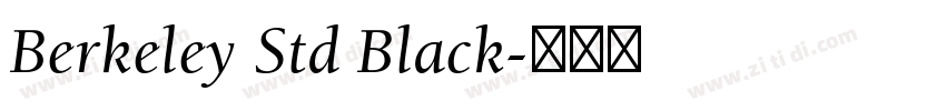 Berkeley Std Black字体转换